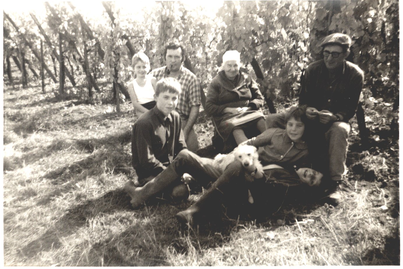 1969, mit Familie und Helfer bei der Weinlese